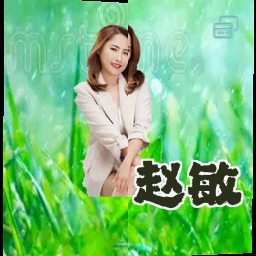 赵敏